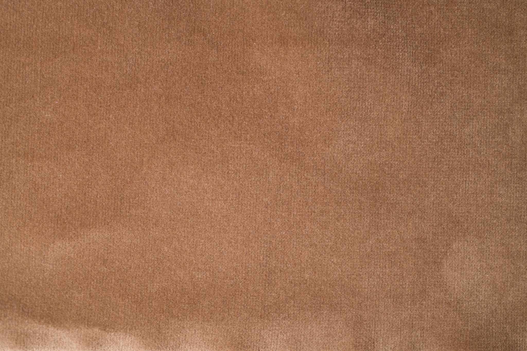 Cotton | by the Yard